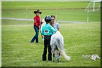 4H-FUN-060615-0779.jpg