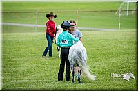 4H-FUN-060615-0780.jpg