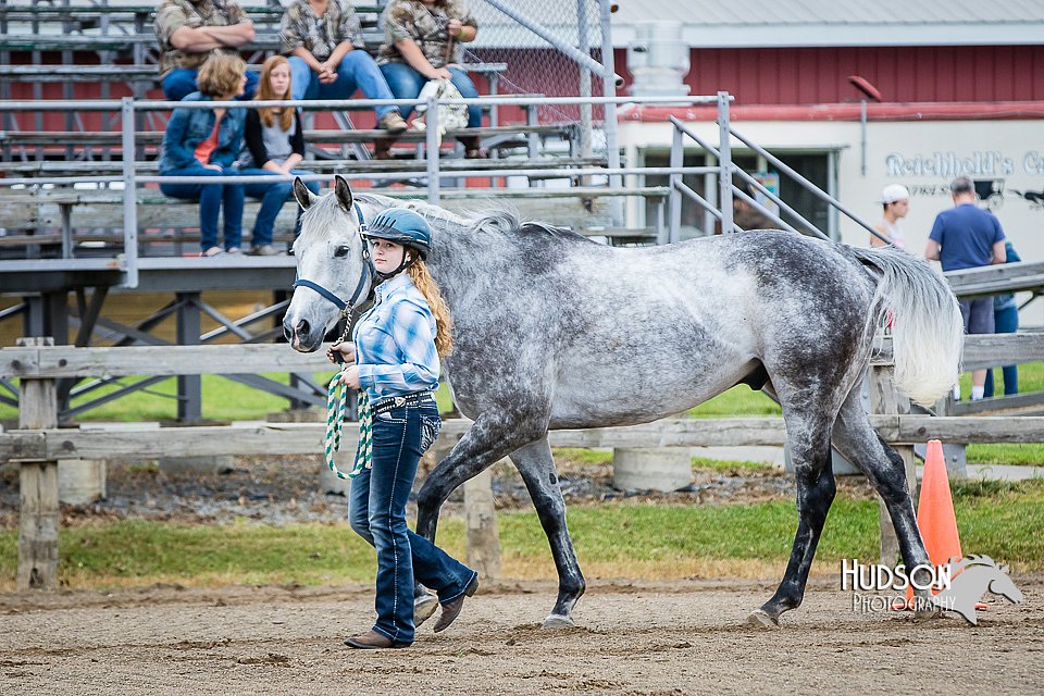4H-FUN-060615-0066.jpg