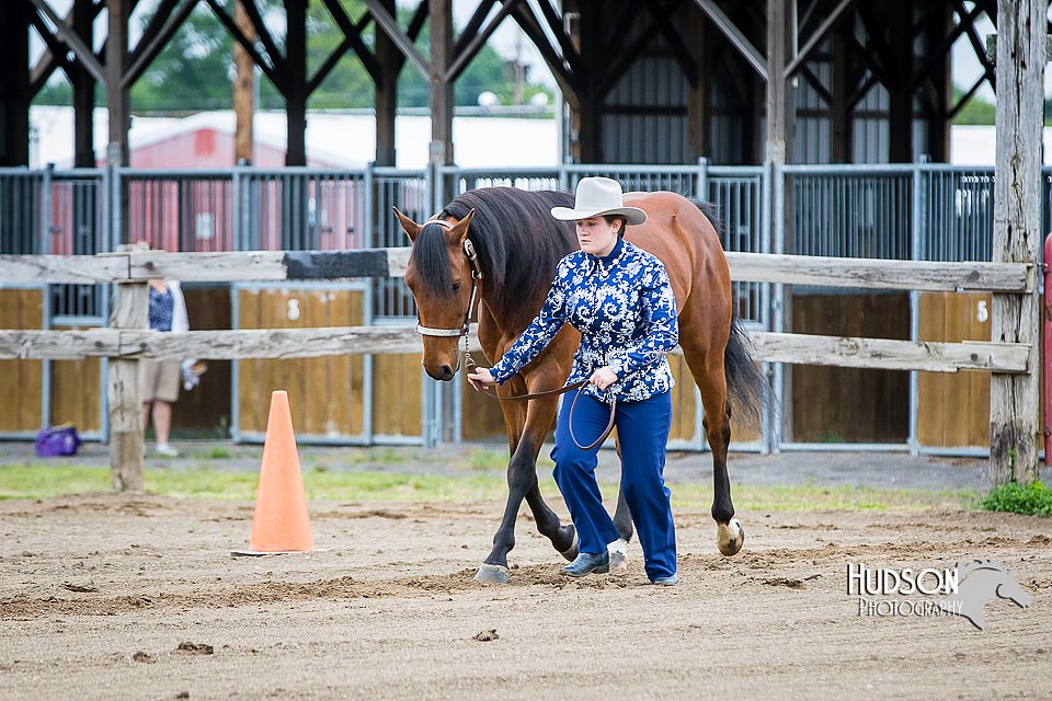 4H-FUN-060615-0068.jpg