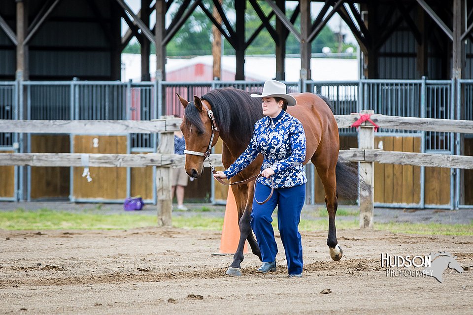 4H-FUN-060615-0069.jpg