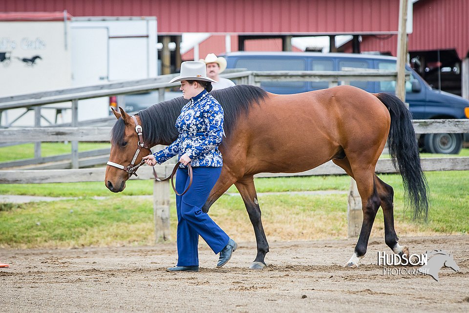 4H-FUN-060615-0074.jpg