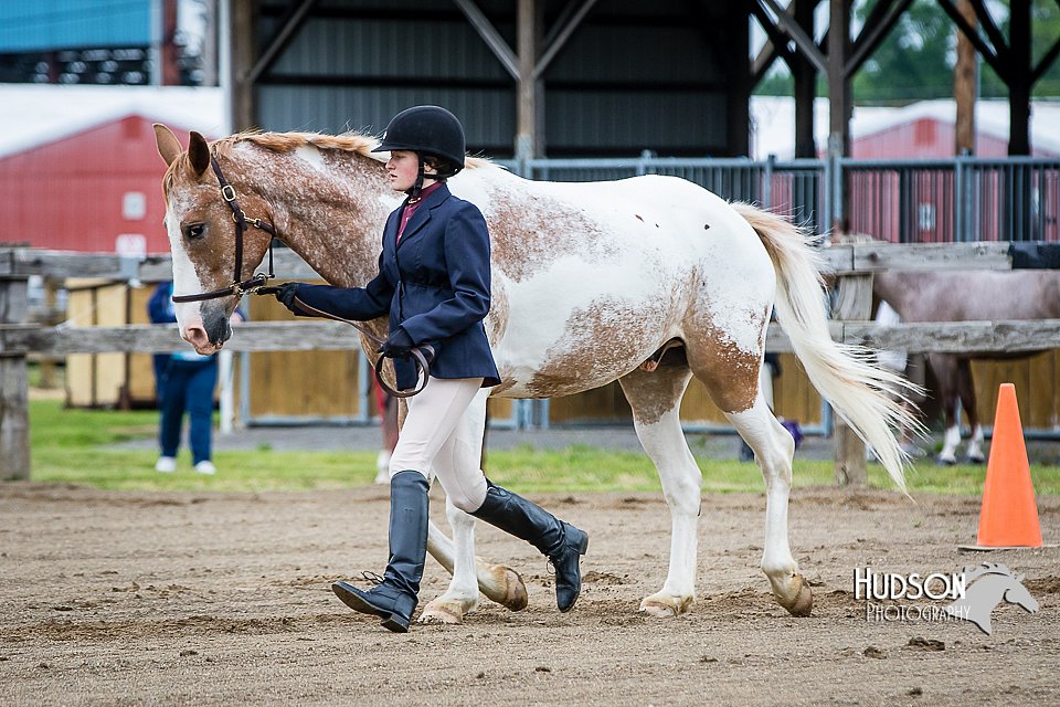 4H-FUN-060615-0077.jpg