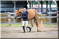 4H-FUN-060615-0051.jpg