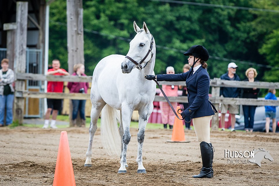 4H-FUN-060615-0095.jpg