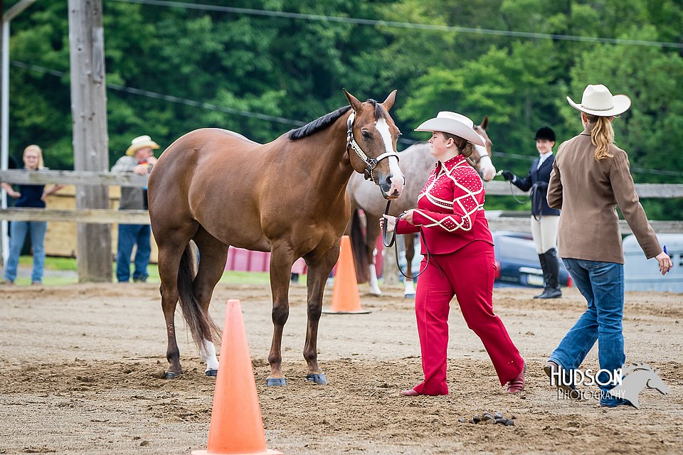4H-FUN-060615-0121.jpg