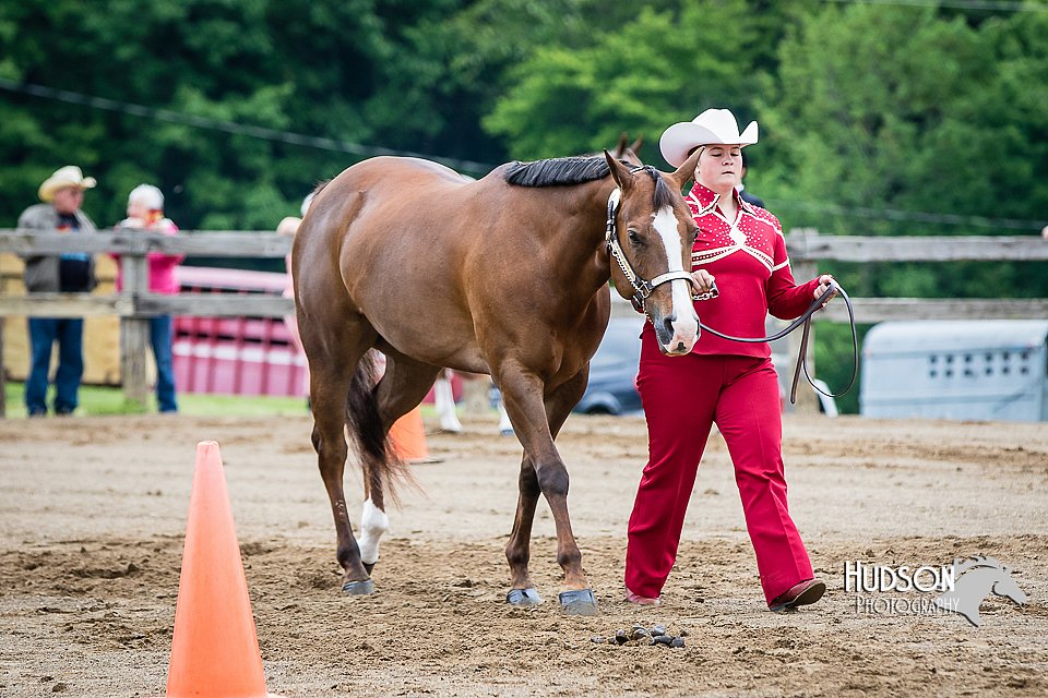 4H-FUN-060615-0122.jpg