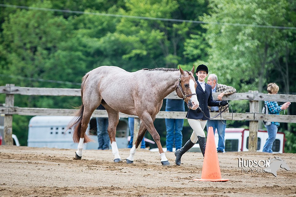 4H-FUN-060615-0126.jpg