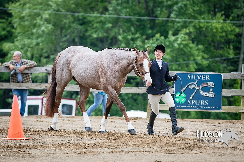 4H-FUN-060615-0127.jpg