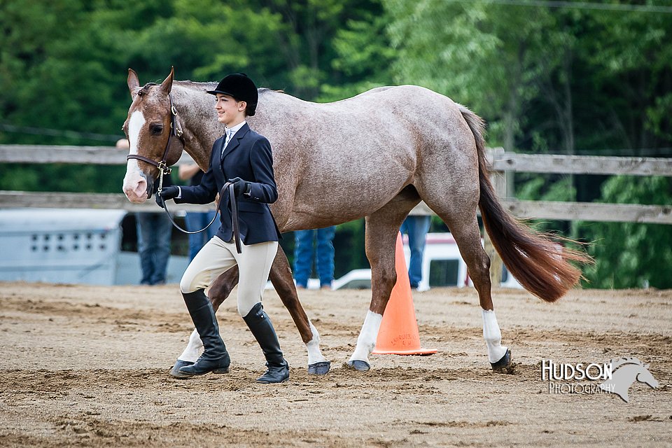 4H-FUN-060615-0130.jpg