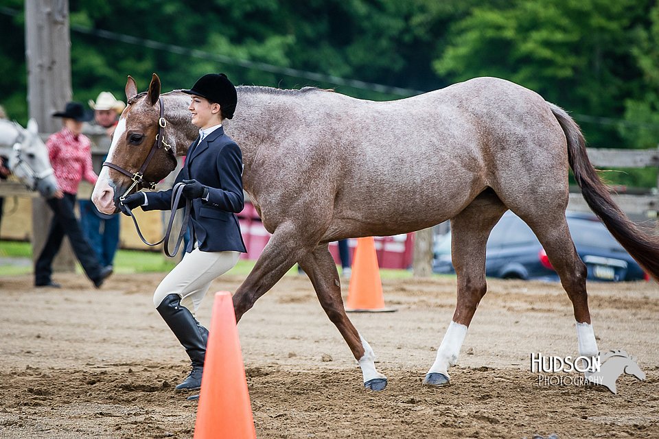 4H-FUN-060615-0132.jpg