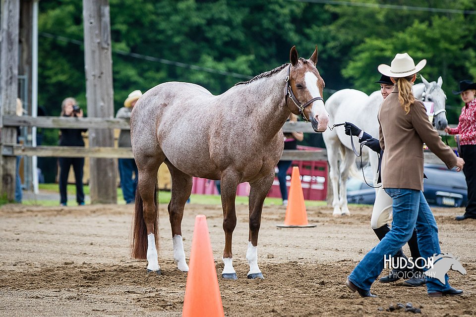 4H-FUN-060615-0133.jpg