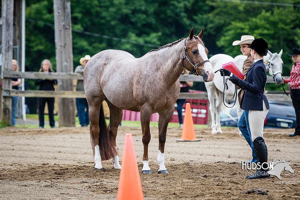 4H-FUN-060615-0135.jpg