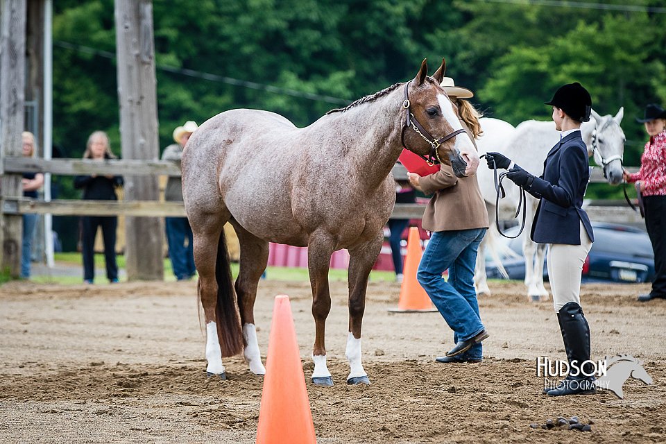 4H-FUN-060615-0136.jpg
