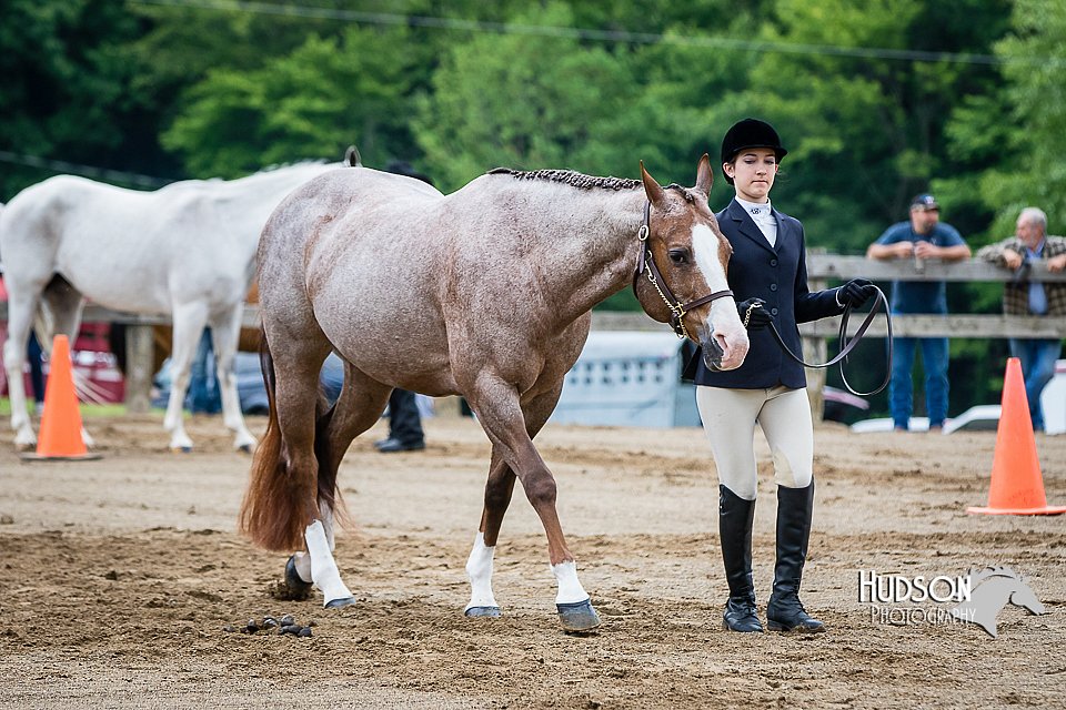 4H-FUN-060615-0137.jpg