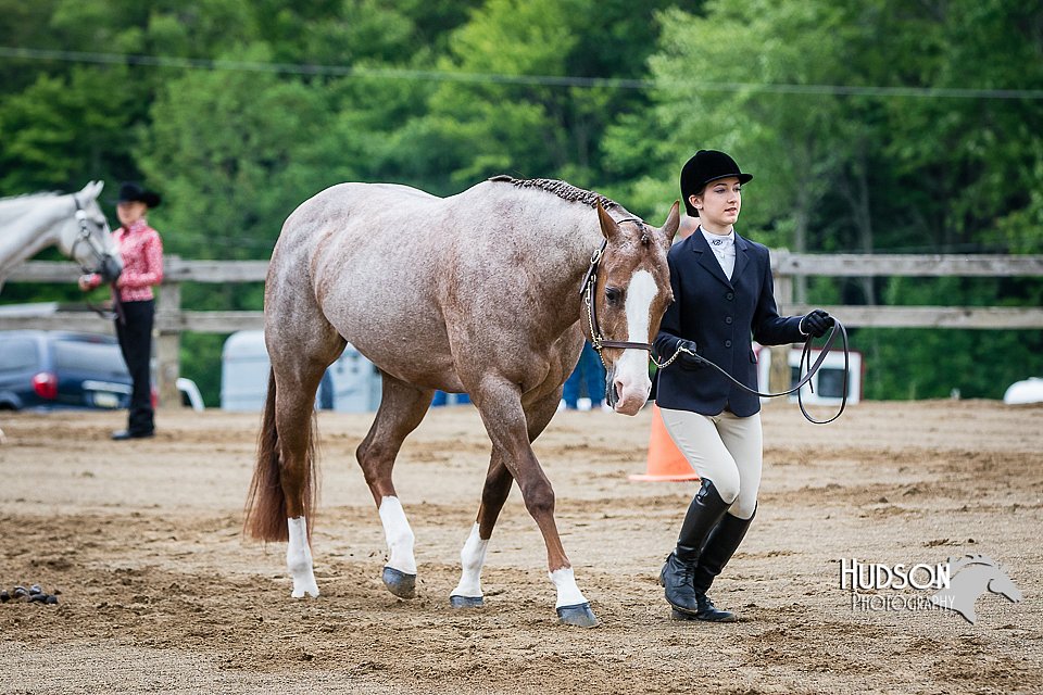 4H-FUN-060615-0138.jpg