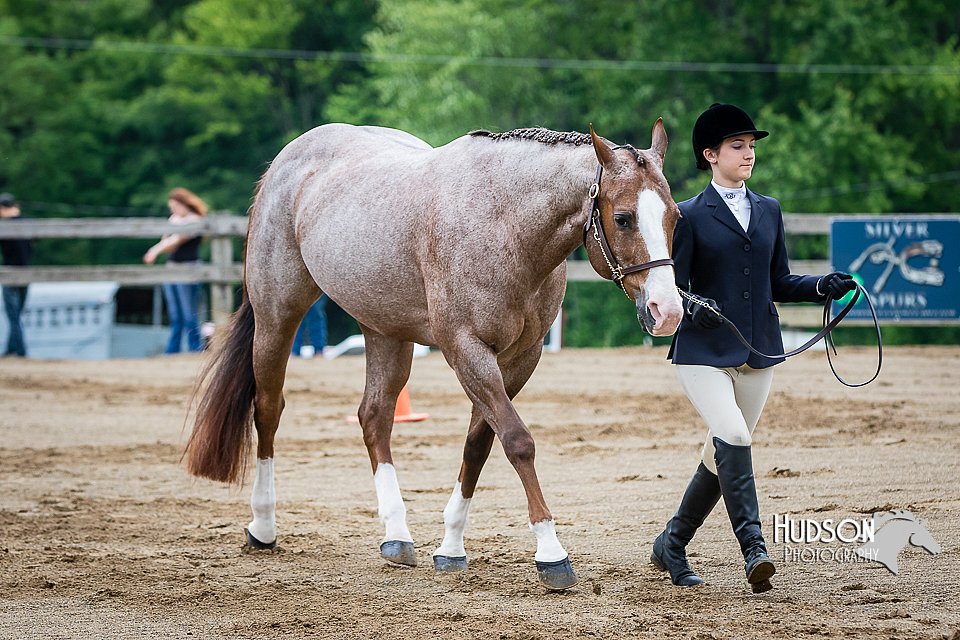 4H-FUN-060615-0139.jpg