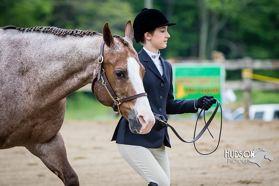4H-FUN-060615-0141.jpg