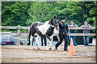 4H-FUN-060615-0097.jpg