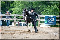 4H-FUN-060615-0100.jpg