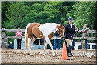 4H-FUN-060615-0106.jpg