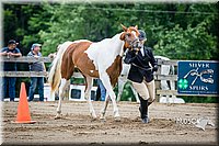 4H-FUN-060615-0107.jpg