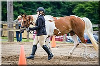 4H-FUN-060615-0110.jpg