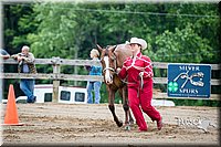 4H-FUN-060615-0117.jpg