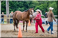 4H-FUN-060615-0121.jpg