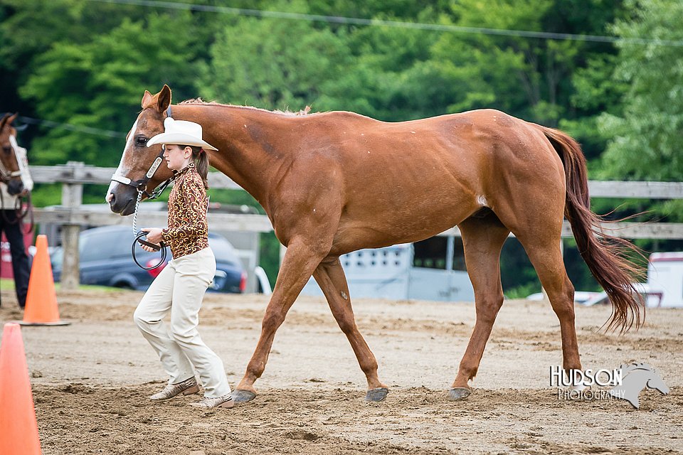 4H-FUN-060615-0192.jpg