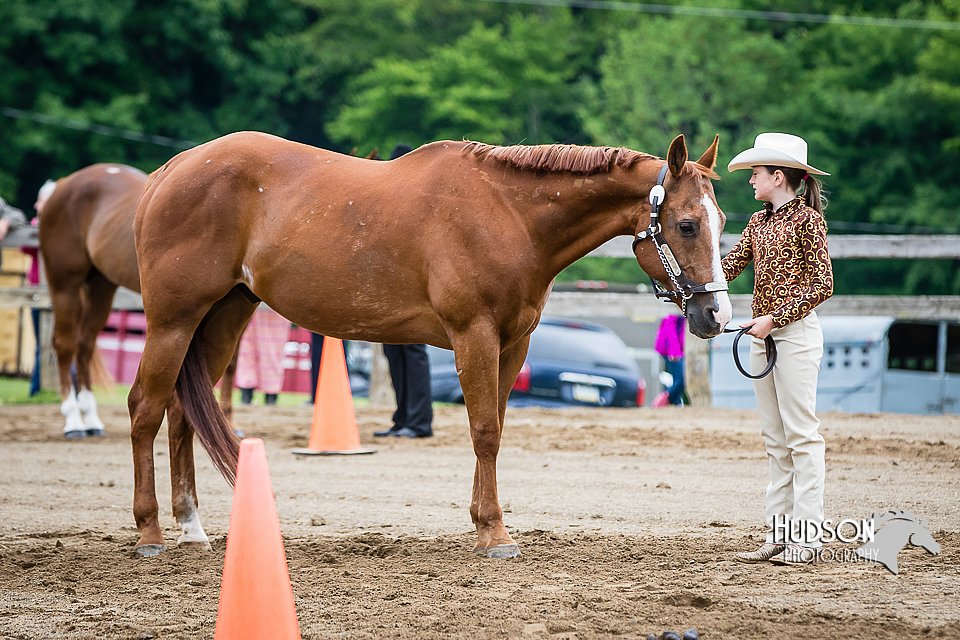 4H-FUN-060615-0193.jpg