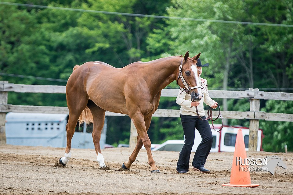 4H-FUN-060615-0199.jpg