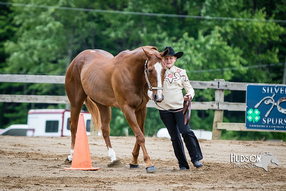4H-FUN-060615-0200.jpg