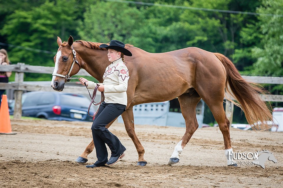 4H-FUN-060615-0202.jpg