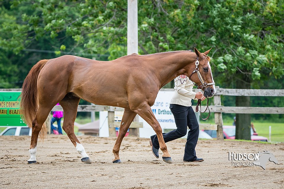 4H-FUN-060615-0206.jpg