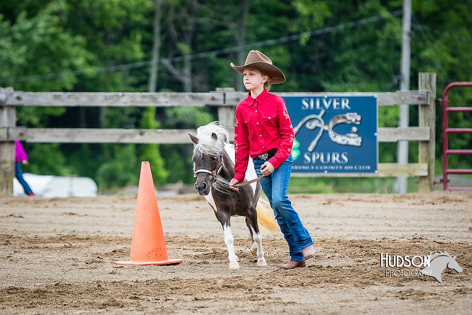 4H-FUN-060615-0209.jpg