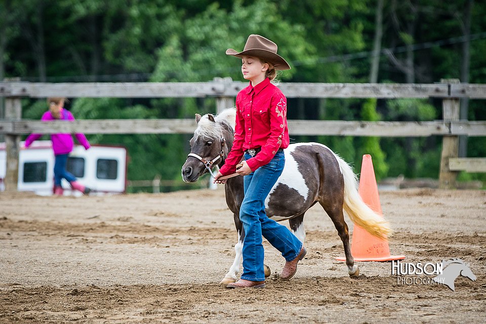 4H-FUN-060615-0211.jpg