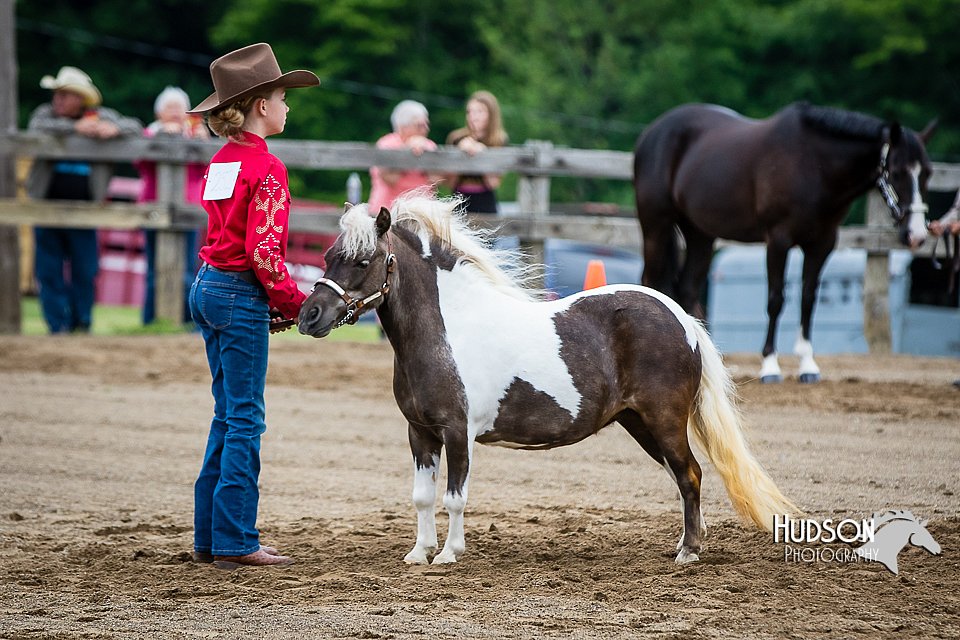 4H-FUN-060615-0215.jpg