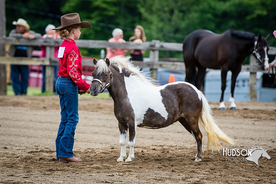 4H-FUN-060615-0216.jpg