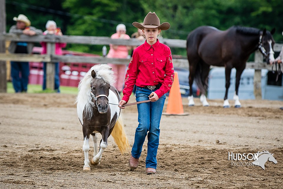 4H-FUN-060615-0218.jpg