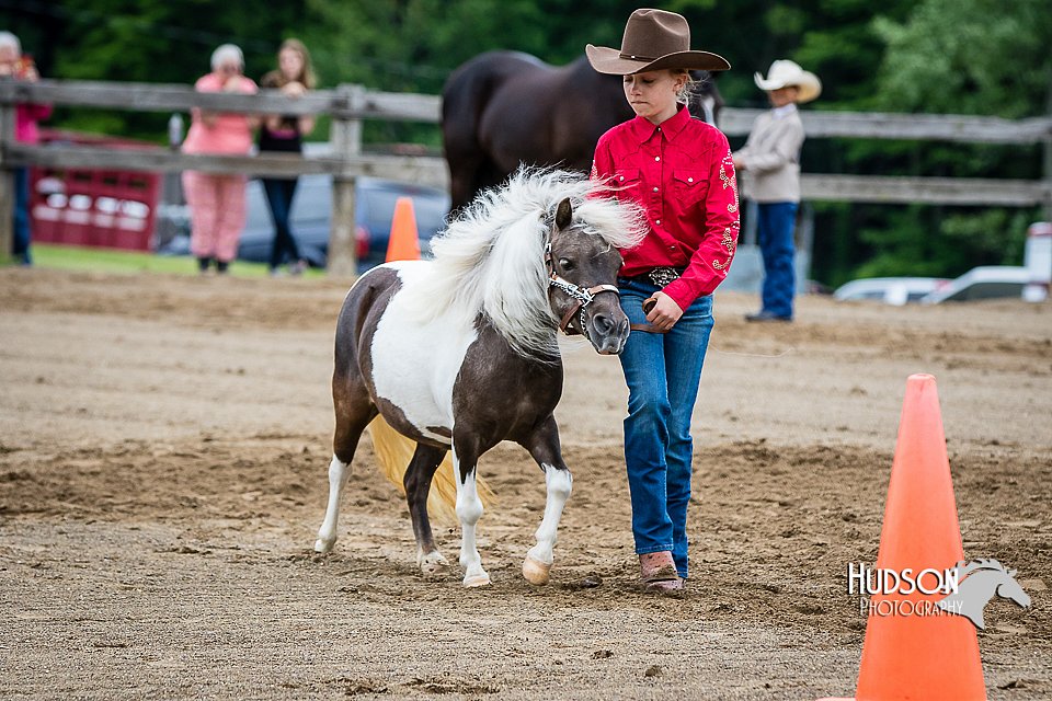 4H-FUN-060615-0220.jpg
