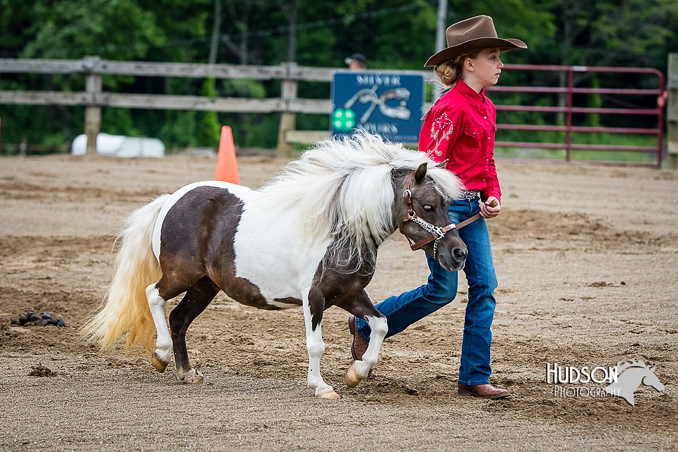 4H-FUN-060615-0221.jpg