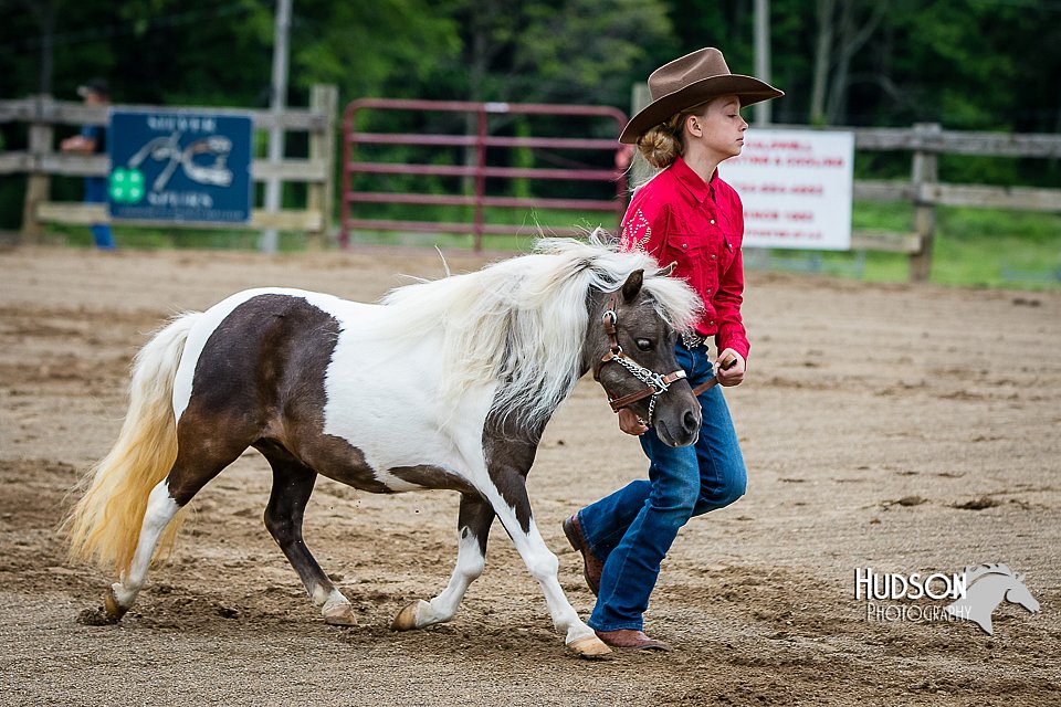 4H-FUN-060615-0222.jpg