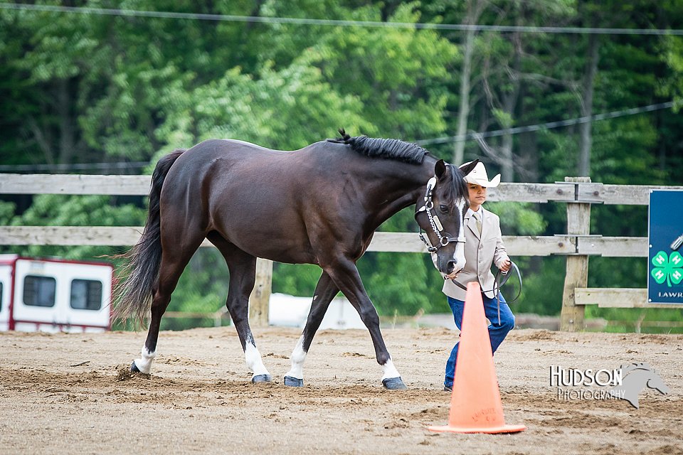4H-FUN-060615-0224.jpg