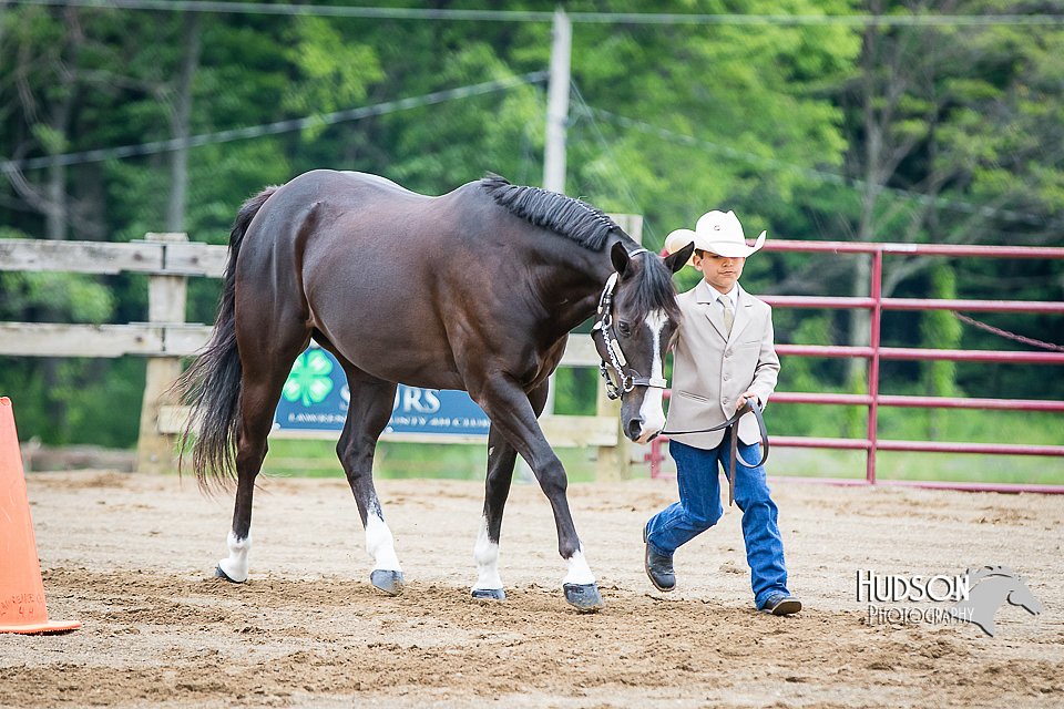 4H-FUN-060615-0225.jpg