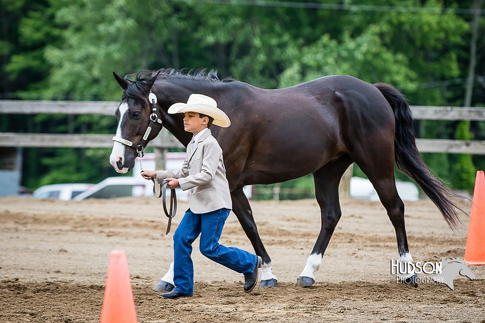 4H-FUN-060615-0228.jpg