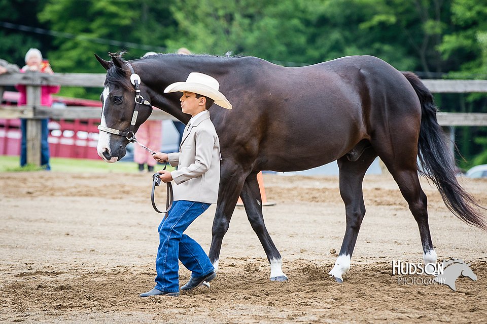 4H-FUN-060615-0229.jpg