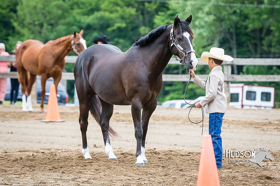 4H-FUN-060615-0230.jpg