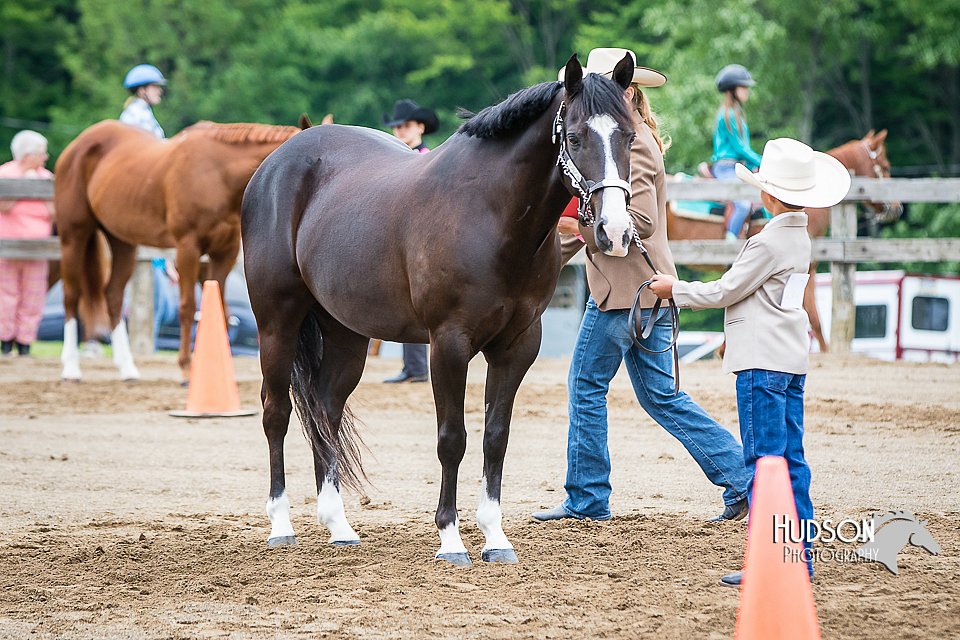 4H-FUN-060615-0233.jpg
