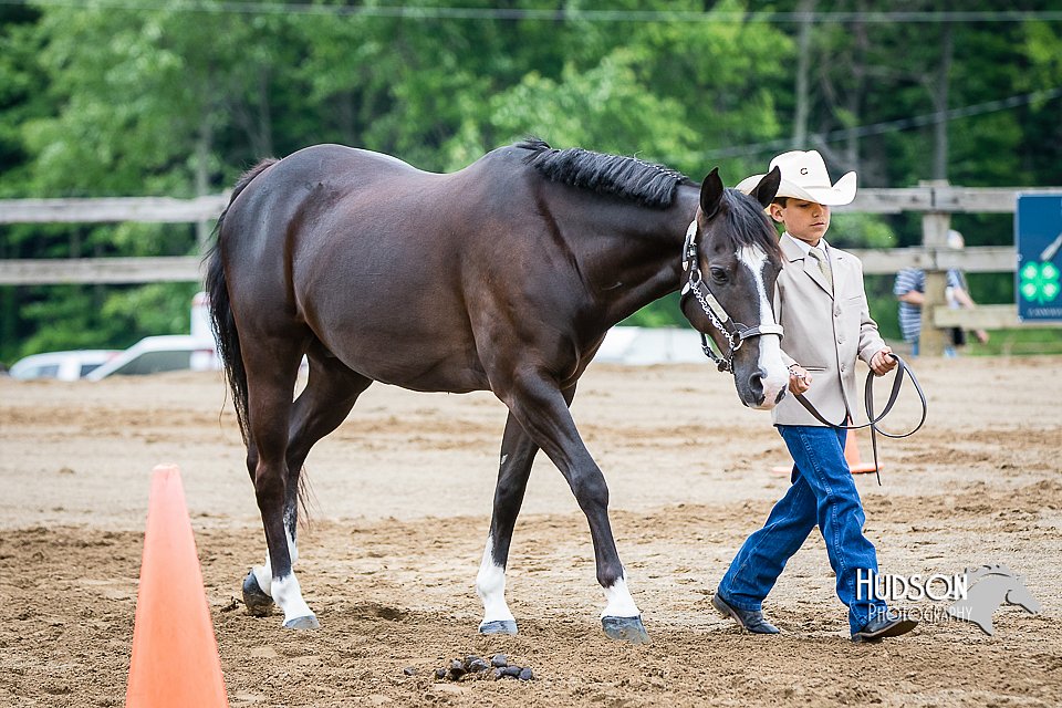 4H-FUN-060615-0234.jpg